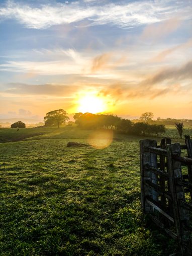 photo-of-grassland-1928491